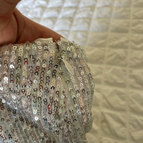 Walter Baker Crista  silver sequin midi skirt - Picture 9 of 11